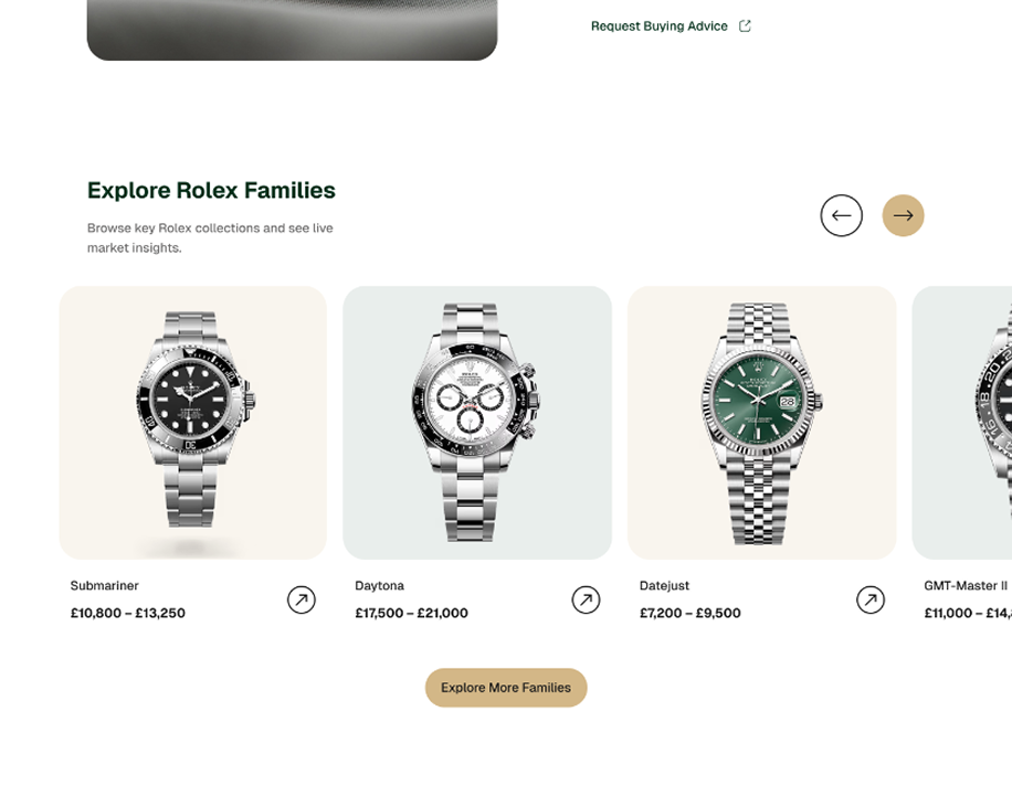Rolex Collection Journal — project image 2